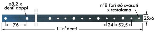 Immagine di Asta Forata per 12 Denti (1,75) x Dente Smontabile FBR