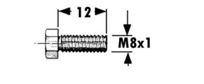 Immagine di Vite TE 8x1x12 R= 10.9 x Dente Smontabile