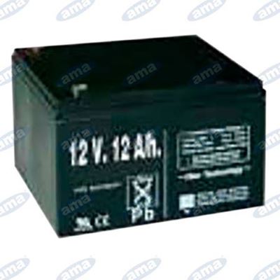 Immagine di Batteria ricaricabile 12v 12ah per  91919 - AMA