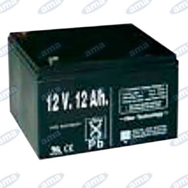 Batteria ricaricabile 12V 12ah per recinto 91918. - Ricambi Agricoli :  Vendita Online