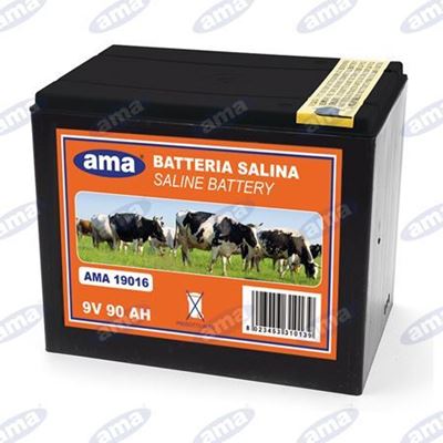 Immagine di Batteria per recinti 9 Volt 55 Ah - AMA