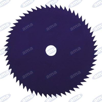 Immagine di Disco a 60  denti in acciaio per tronchetti 255mm - AMA