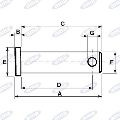 Immagine di Perno Ø14 adattabile a FIAT 5104030 - AMA