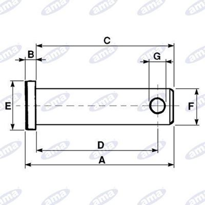 Immagine di Perno Ø16 adattabile a FORD 81824450 - AMA