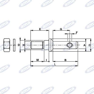 Immagine di Perno per attacco attrezzi Ø22-28 M22x1,5    - AMA