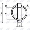 Immagine di Spina a scatto con molla a forma tonda Ø4.5X45mm