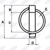 Immagine di Spina a scatto con molla a forma tonda Ø6X55mm