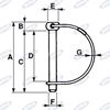 Immagine di Spinotto motozappa Ø10X80 mm