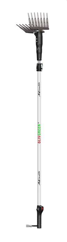 Carboncino Cogliolive Olivgreen A3 Minelli: 2 Pezzi, Modello MEA3TX130