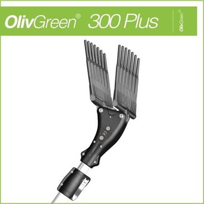 Immagine di OlivGreen 300 PLUS - MINELLI