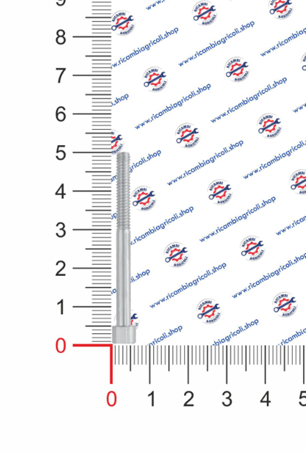 Immagine di Vite TE M 5x45 - RIF. 4