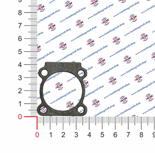 Immagine di Guarnizione cilindro V 8 - P3019