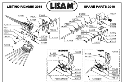 Immagine di RICAMBI V8 EVO - LISAM