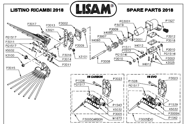 Immagine di RICAMBI V8 EVO - LISAM