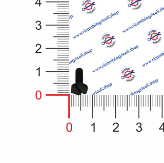 Immagine di Vite TC IC M4x6 - RIF. 20
